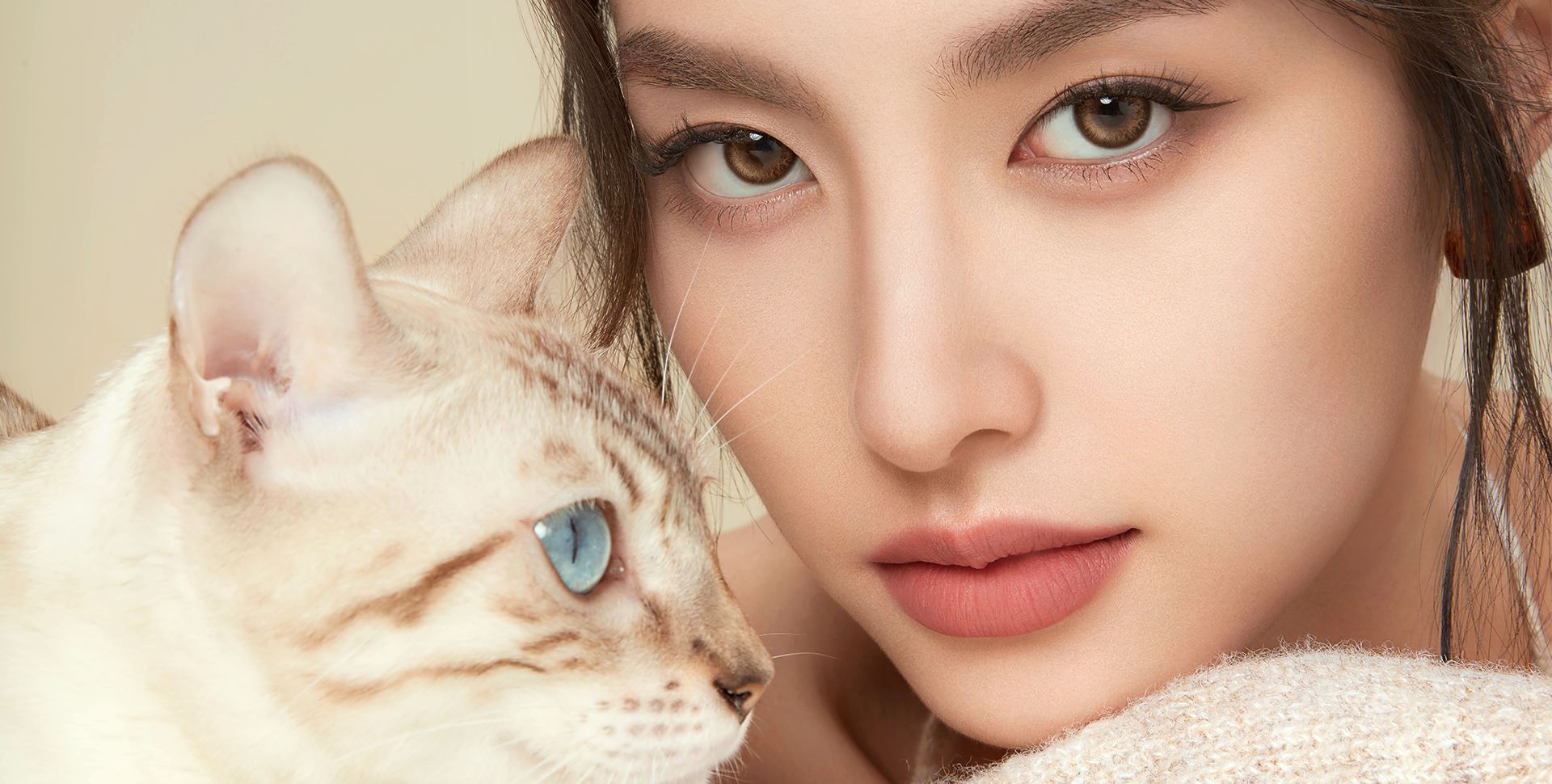 猫猫家族-底部banner2.png